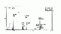 MMA0016SP0004.gif