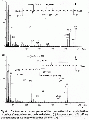 EEL0257SP0066.gif
