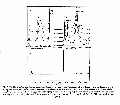 EEL0097SP0027.gif