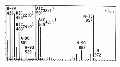 MMA0169SP0039.gif