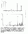 CLS0711SP0032.gif