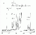 GSG1085SP0002.gif