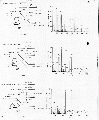 CLS0212SP0010.gif