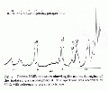 GSG1039SP0003.gif