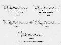 VVE0002FT0001.gif