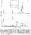 EEL0253SP0064.gif
