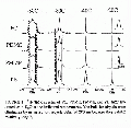 PGP2401SP0001.gif