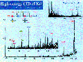 GSG0082SP0001.gif