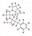 Thumbnail for version as of 20:46, 21 February 2011