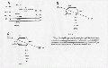 CLS0712SP0085.gif