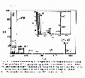 EEL3038SP0030.gif