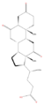 LBST04010425.png