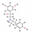 Thumbnail for version as of 20:46, 21 February 2011