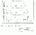 WWA1501SP0018.gif
