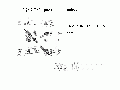 GSG0069SP0002.gif