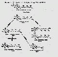 VVE0037FT0004.gif