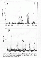 CLS0212SP0009.gif