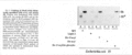 CLS0424CH0008.gif