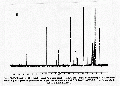 Thumbnail for version as of 13:06, 21 February 2008