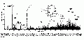EEL0136SP0043.gif