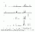 Thumbnail for version as of 13:06, 21 February 2008