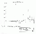 WWA1501SP0017.gif