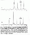 CLS1411SP0037.gif