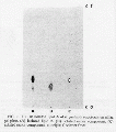 CLS0101CH0001.gif
