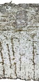 Thumbnail for version as of 14:51, 20 February 2011