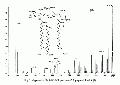 CLS1523SP0047.gif