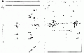 Thumbnail for version as of 13:06, 21 February 2008