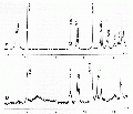 GSG1084SP0002.gif