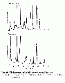 VVK0009FT0001.gif