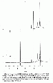 CLS1721SP0060.gif