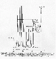 VCA0002CH0005.gif