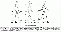 PGP2410SP0001.gif