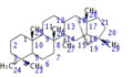 Thumbnail for version as of 05:41, 18 July 2010