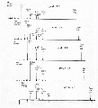 MMA0117SP0025.gif