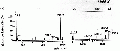 EEL0249SP0060.gif