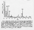 CLS1711SP0054.gif