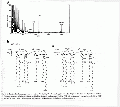 CLS1511SP0040.gif