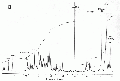 GSG1029SP0001.gif
