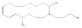 Thumbnail for version as of 15:06, 21 February 2008