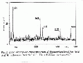 CLS0611SP0029.gif