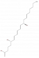 Thumbnail for version as of 15:05, 21 February 2008
