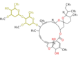 Thumbnail for version as of 11:34, 10 January 2012