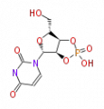 Thumbnail for version as of 16:36, 19 June 2009