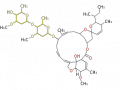 Thumbnail for version as of 16:59, 27 December 2011