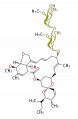 Thumbnail for version as of 18:29, 6 January 2012
