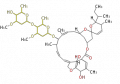 Thumbnail for version as of 18:44, 6 January 2012